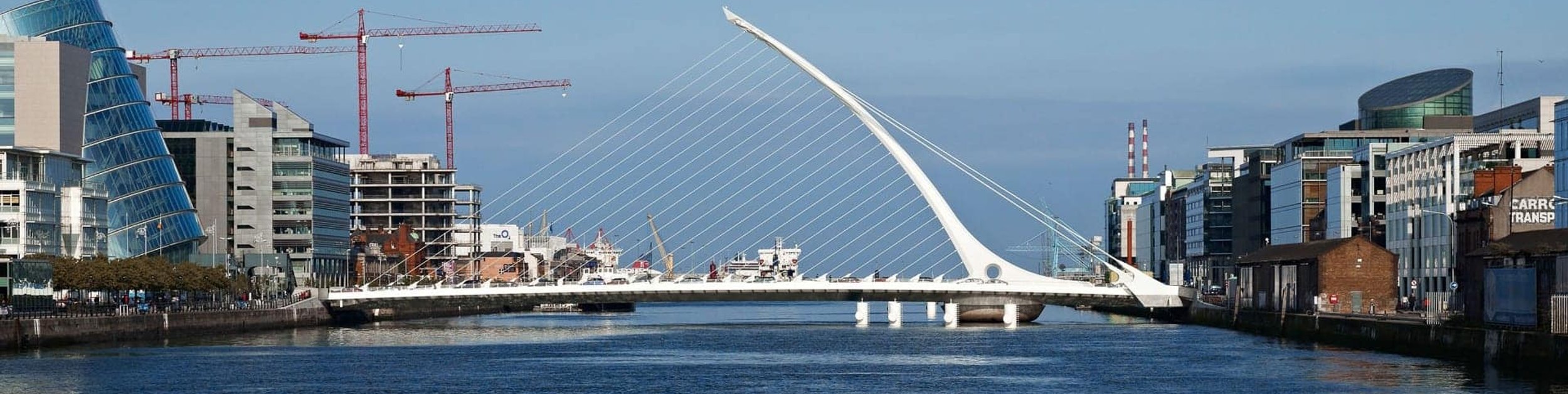 Dublin library